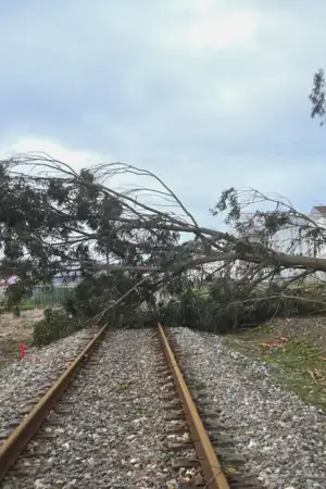 "É uma vergonha aquilo que se passou". O relato de quem esteve toda a noite a acompanhar a depressão Kristin